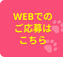 WEBでのご応募はこちら